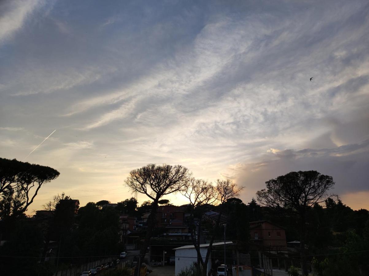 Belvedere Rooms Guest House 罗马 外观 照片